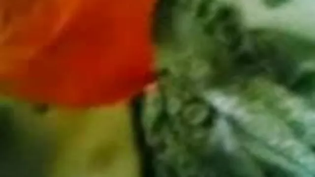 बड़े साउथ की मूवी सेक्सी स्तन के साथ श्यामला किशोर गड़बड़ और सोफे पर फिल्माया