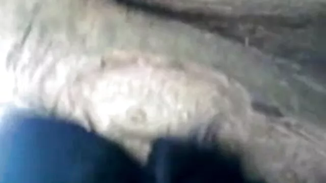 पापा - कैटरीना की सेक्सी मूवी वह एक असली समर्थक की तरह उड़ती है
