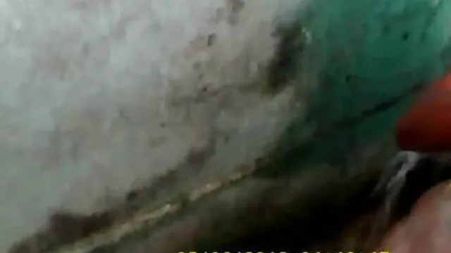 बालों वाली लड़की की सेक्सी मूवी 330