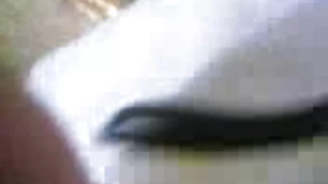 हॉट FUCK # सेक्सी मूवी 2017 की 102 (संचिका आबनूस कौगर)