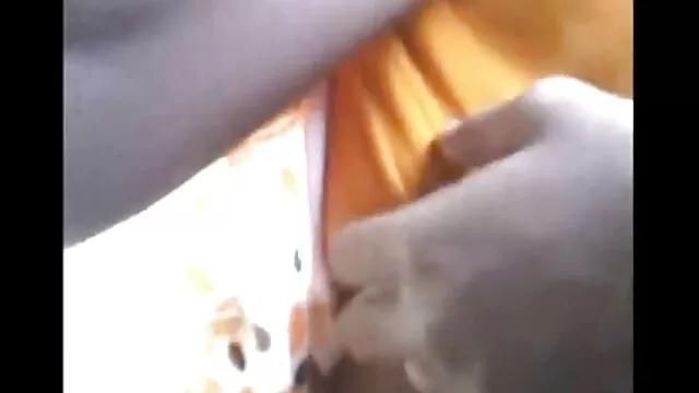 एक महान बकवास कैटरीना कैफ की बीएफ सेक्सी मूवी होने युगल!