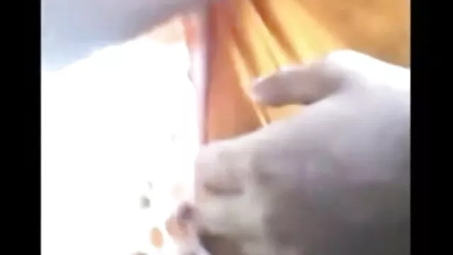 ब्लौंडी सनी लियोन की सेक्सी वीडियो मूवी विर्ड जफिकट