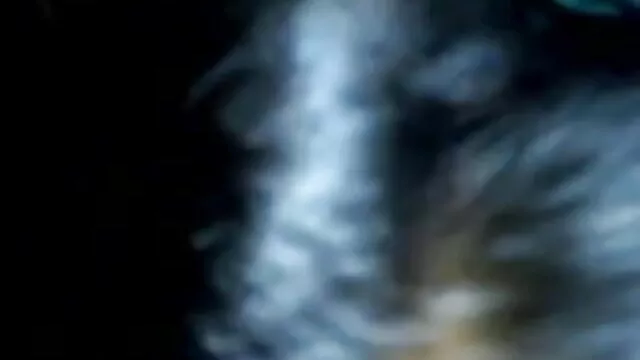 tushy जंगल की मूवी सेक्सी - लेह लव