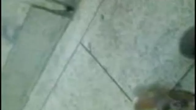 आरआर बॉलीवुड की सेक्सी मूवी और एमएस लाइव चैट