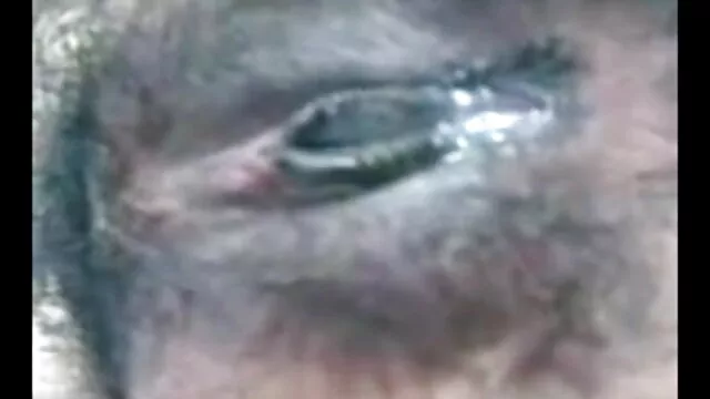 केमिस्ट्री रानी चटर्जी की सेक्सी मूवी 3 एलाड डिक्सीसी jk1690