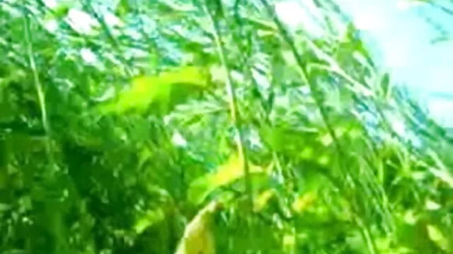 सेक्सी चेक महिलाओं के सेक्सी फिल्म की मूवी साथ मंच के पीछे