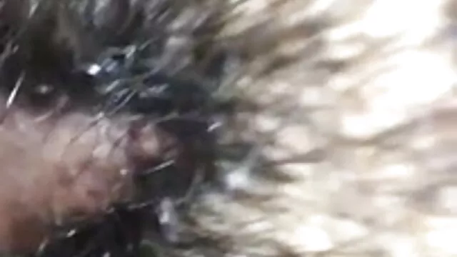 महिलाओं का दबदबा स्ट्रैपआन सोनम कपूर की सेक्सी मूवी # 2