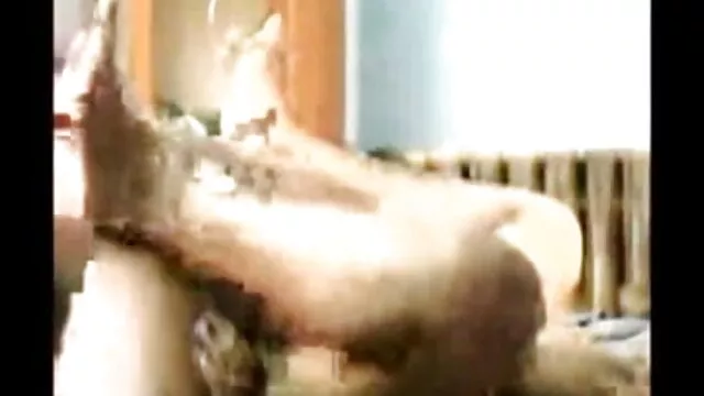 सबसे हीरो हीरोइन की सेक्सी मूवी वेब कैमरा लड़की