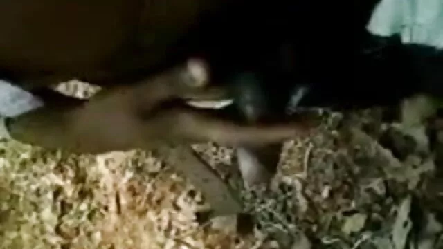 डीबीएम वासना टेम्पल सेक्सी फिल्म की मूवी
